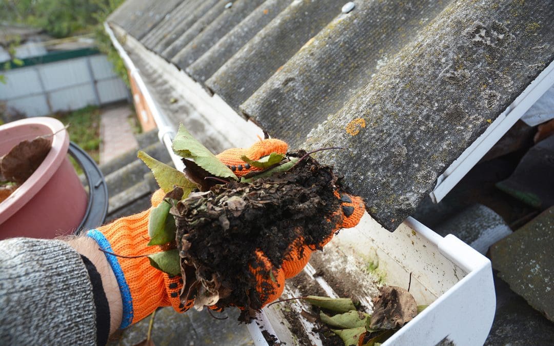 clean your rain gutters