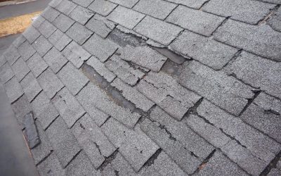 Four Critical Signs That You Need a New Roof