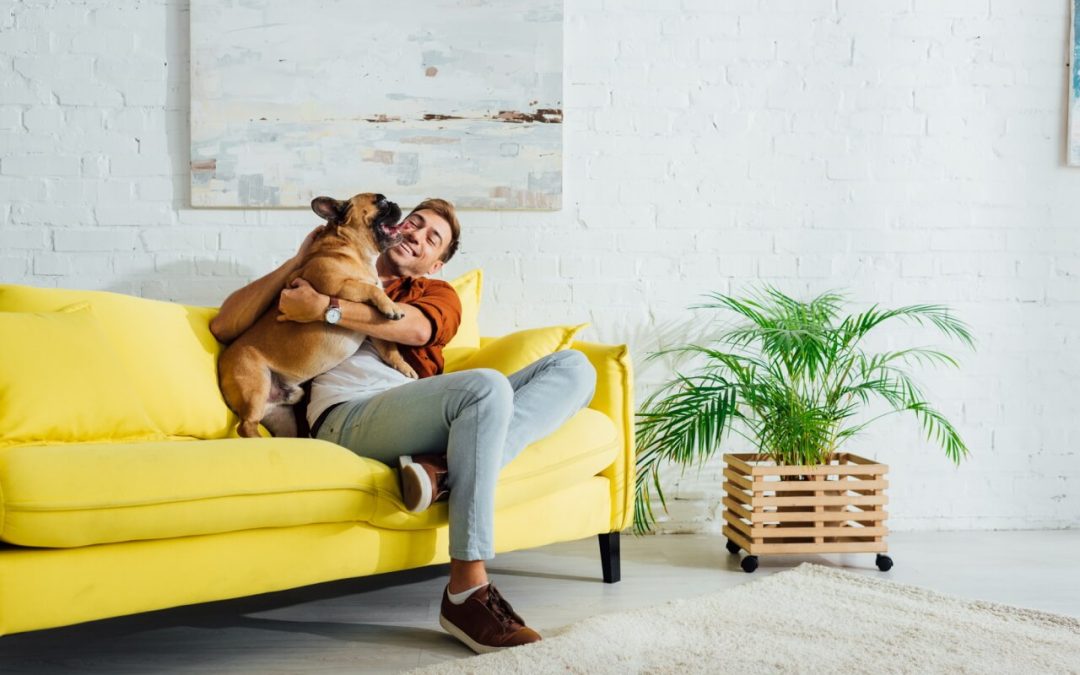 7 Non-Toxic Houseplants for Homes with Pets